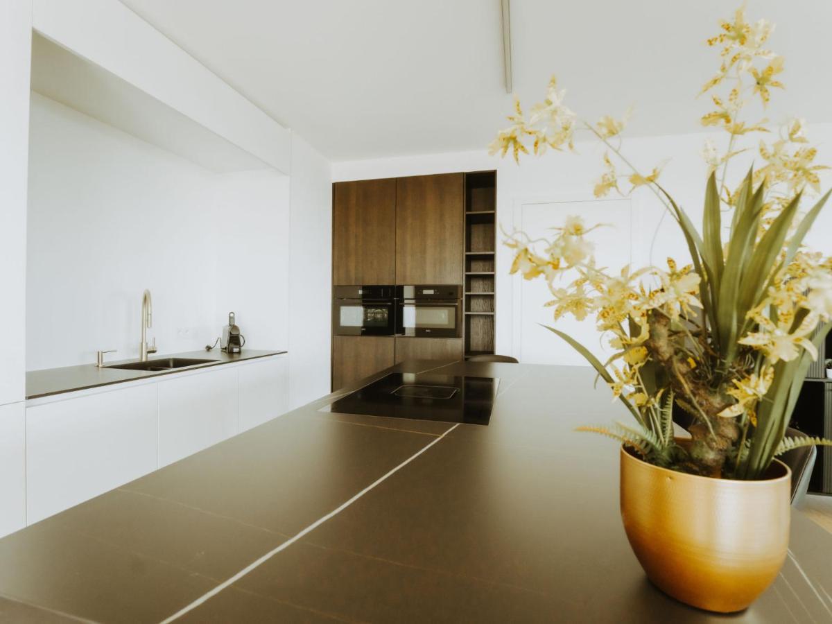Sky Tower One By Interhome Appartement Oostende